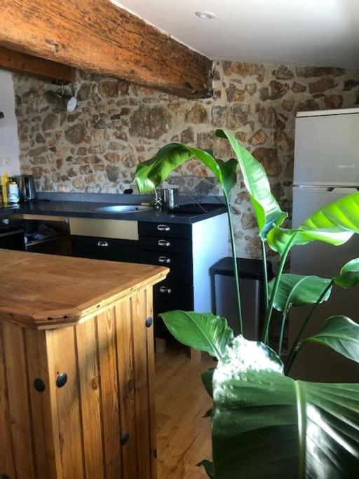 Le Loft Cosy - Centre Ville - Cadre Royal Сет Экстерьер фото